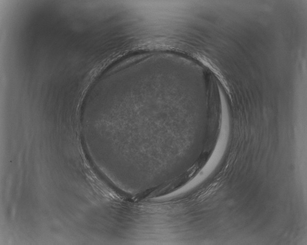 X0000076030673200610061419