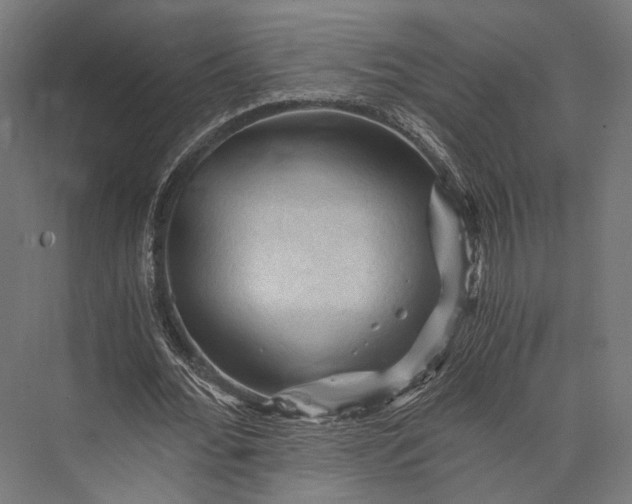 X0000076030676200610061419