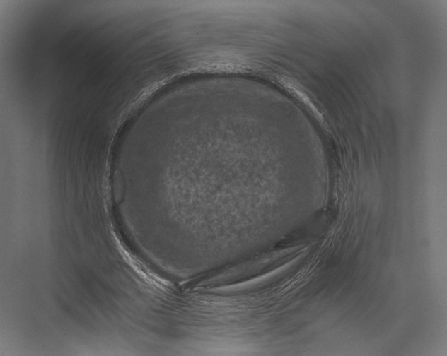 X0000076030677200610061419