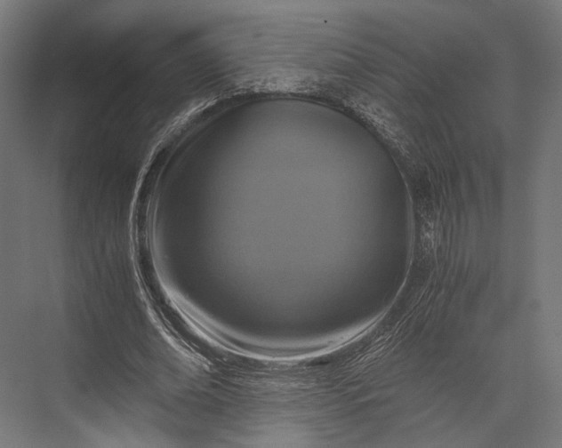 X0000076030678200610061419