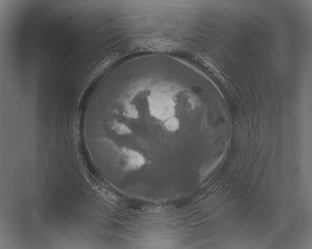 X0000076030679200610061419