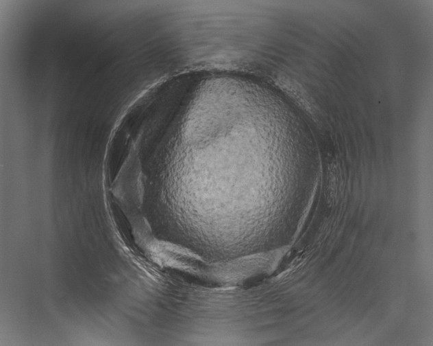 X0000076030680200610061419