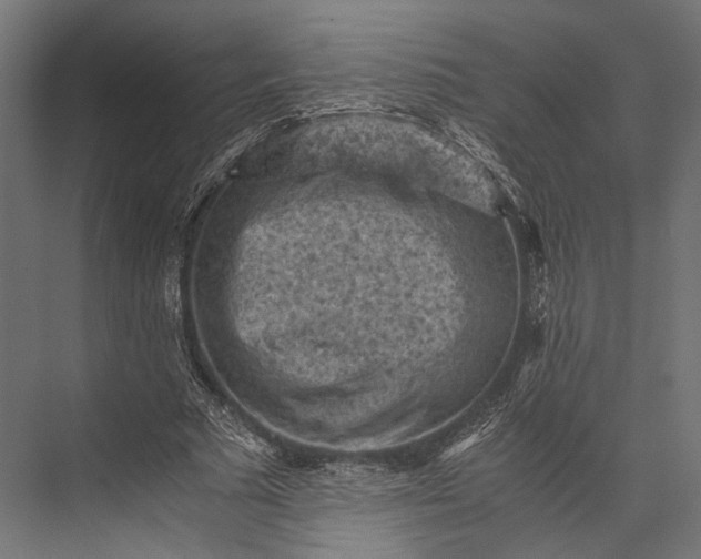 X0000076030681200610061419