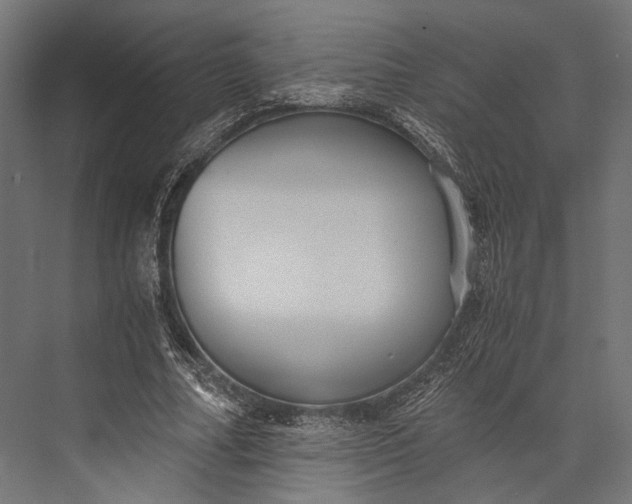 X0000076030682200610061419