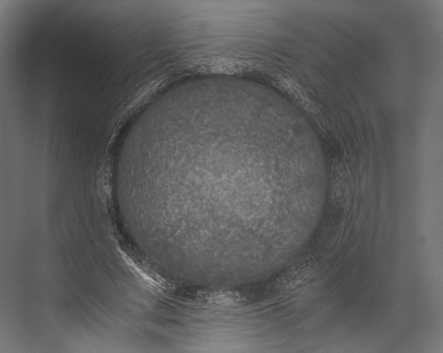 X0000076030683200610061418