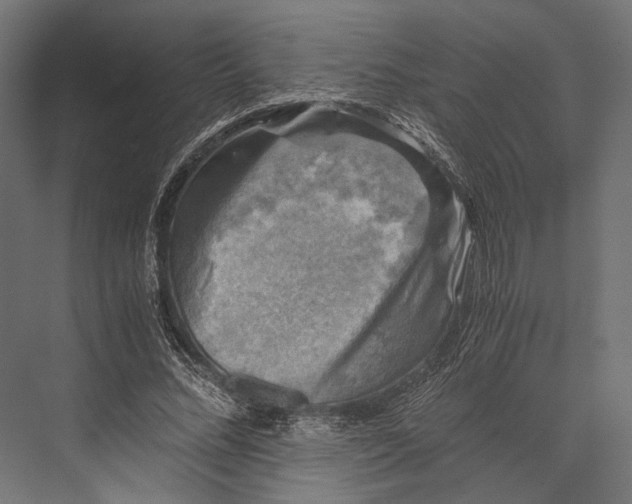 X0000076030684200610061418