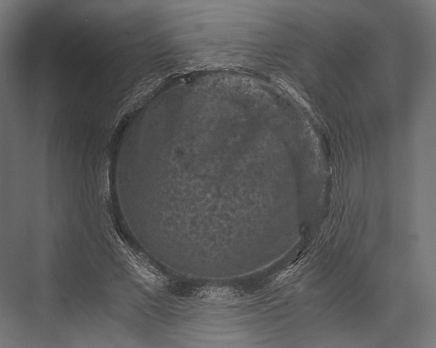 X0000076030685200610061418