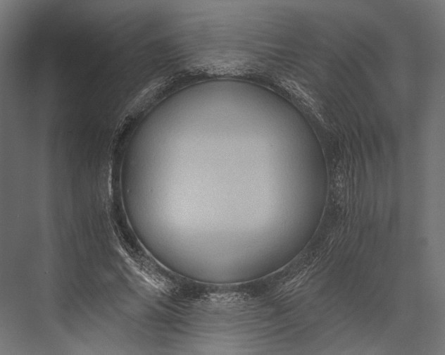 X0000076030686200610061418