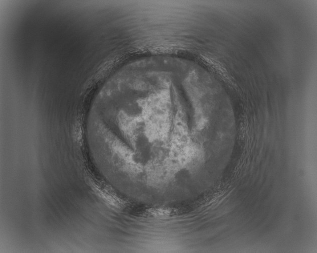 X0000076030687200610061418