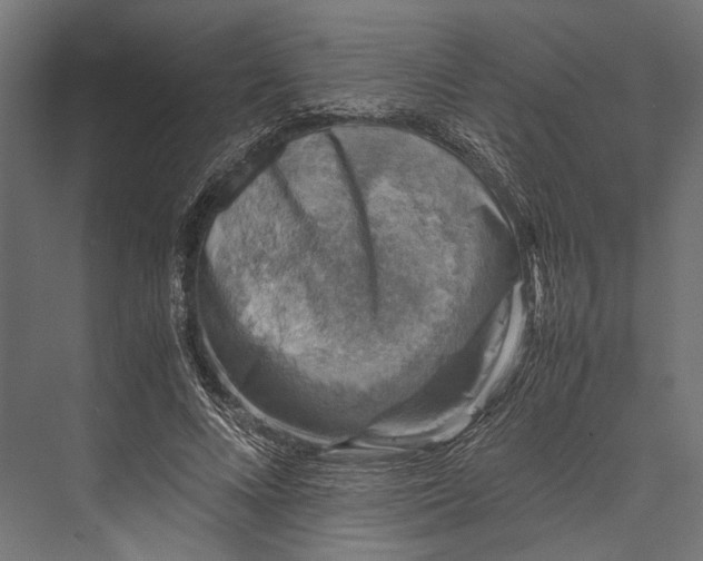 X0000076030688200610061418