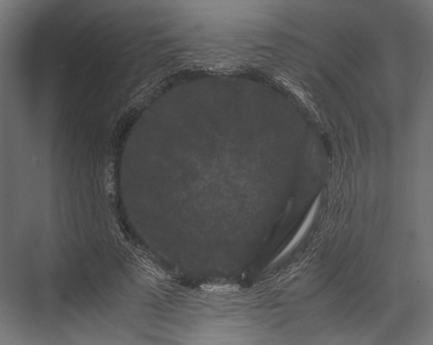 X0000076030689200610061418