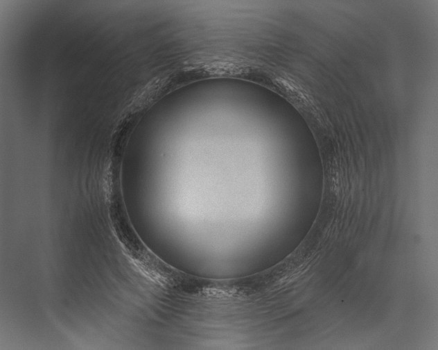 X0000076030690200610061418