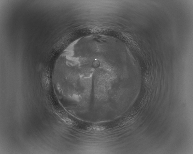 X0000076030691200610061418