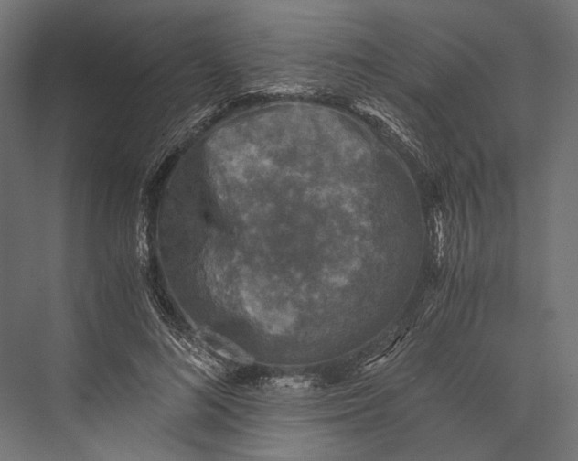 X0000076030692200610061418