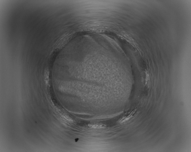 X0000076030693200610061418