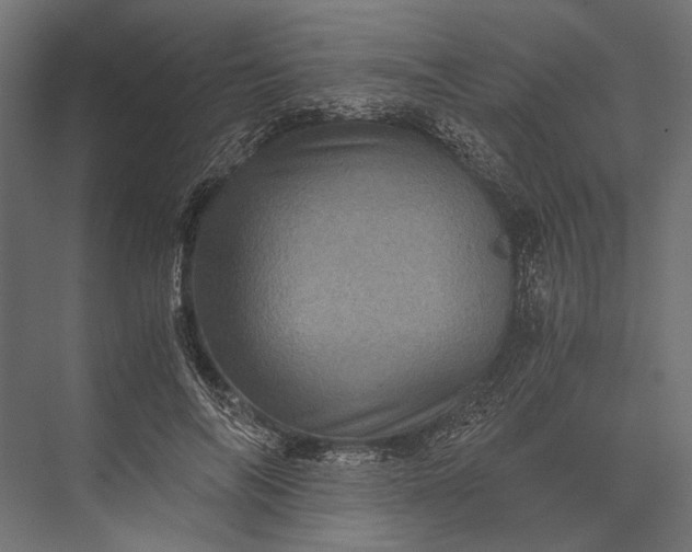 X0000076030694200610061418