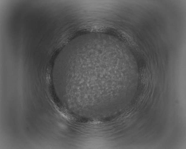 X0000076030695200610061418