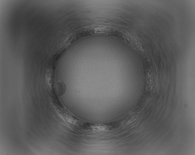 X0000076030698200610061418