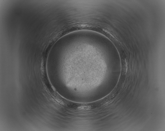 X0000076030700200610061418