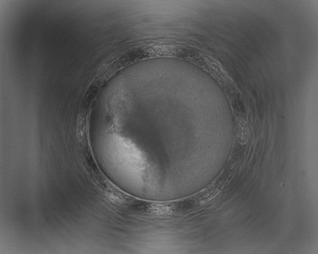 X0000076030701200610061418