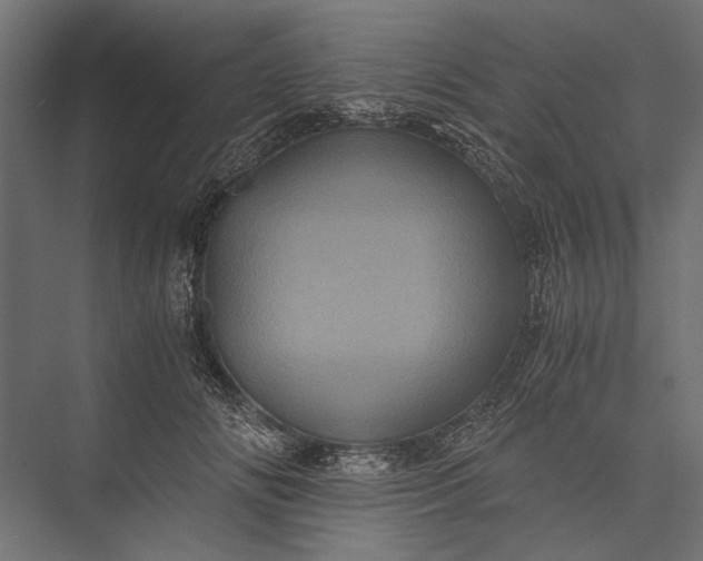 X0000076030702200610061418