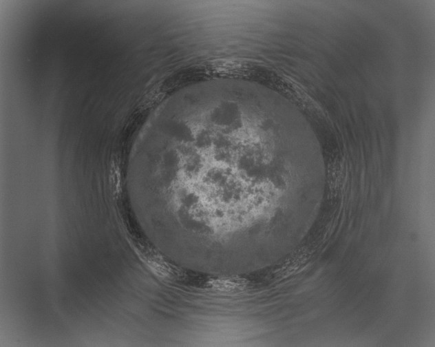 X0000076030703200610061418