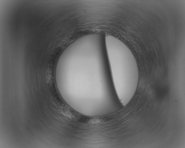 X0000076030704200610061418