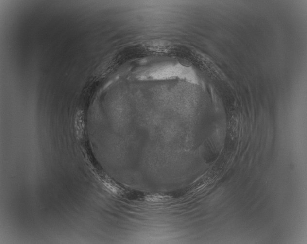 X0000076030707200610061418