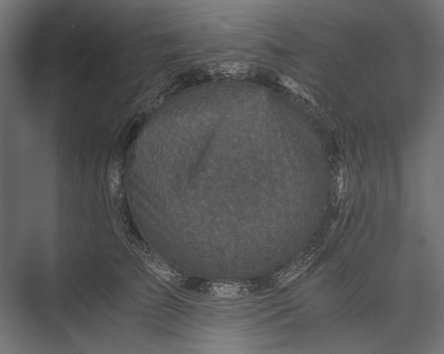 X0000076030709200610061418