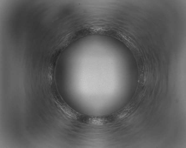 X0000076030710200610061418