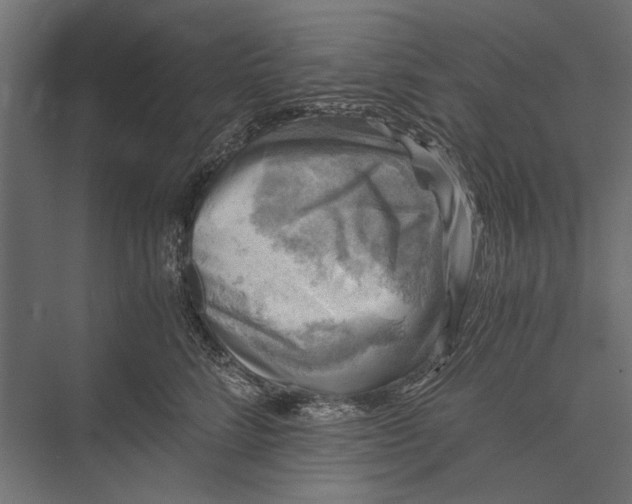 X0000076030712200610061418