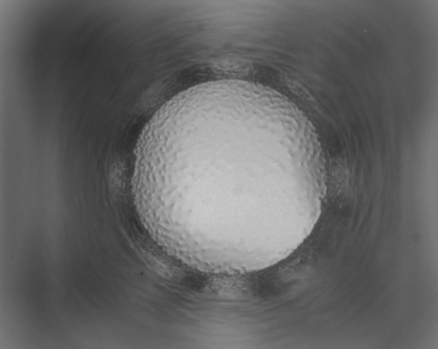 X0000076030713200610061418