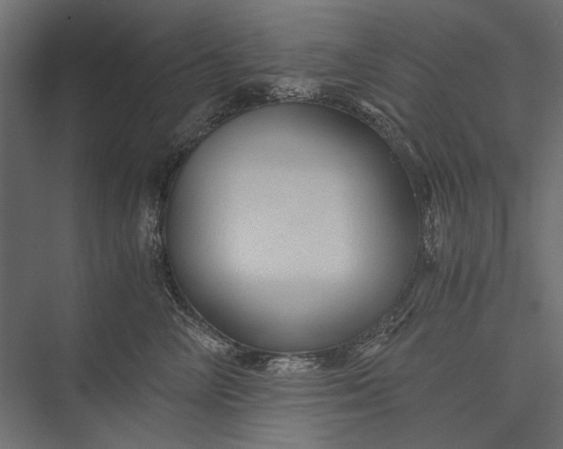 X0000076030714200610061418