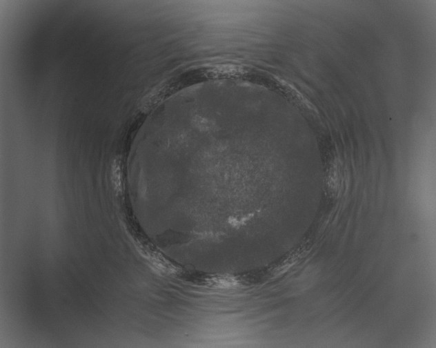 X0000076030715200610061418