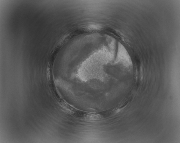 X0000076030716200610061418