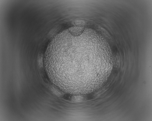 X0000076030717200610061418