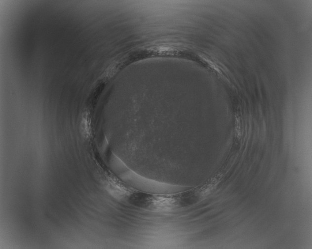 X0000076030718200610061418