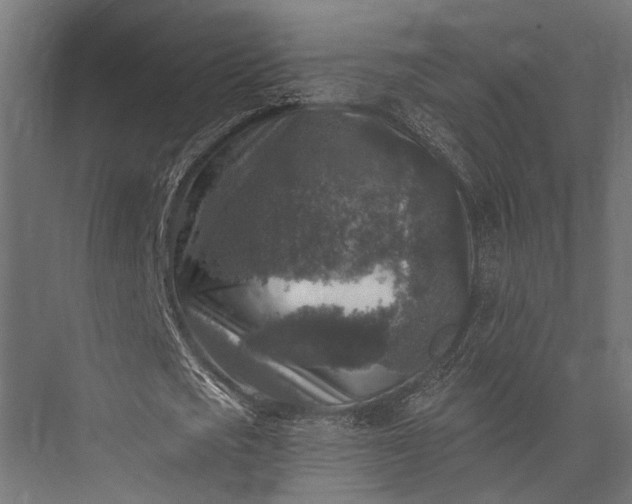 X0000076030721200610061417