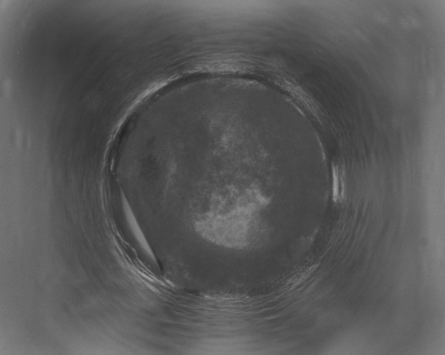 X0000076030723200610061417