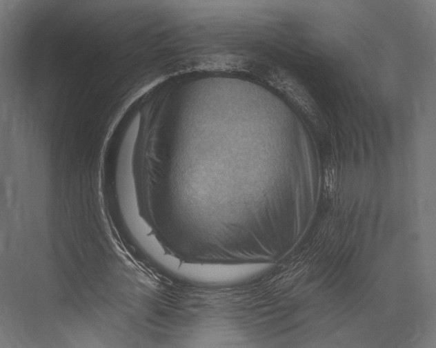 X0000076030724200610061417