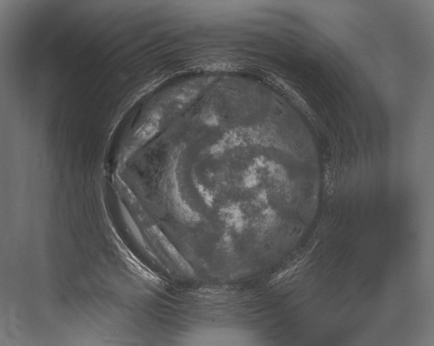 X0000076030725200610061417