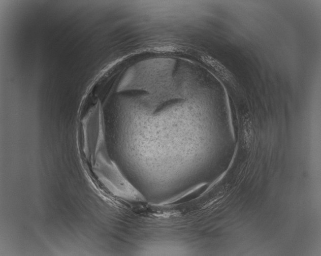 X0000076030728200610061417