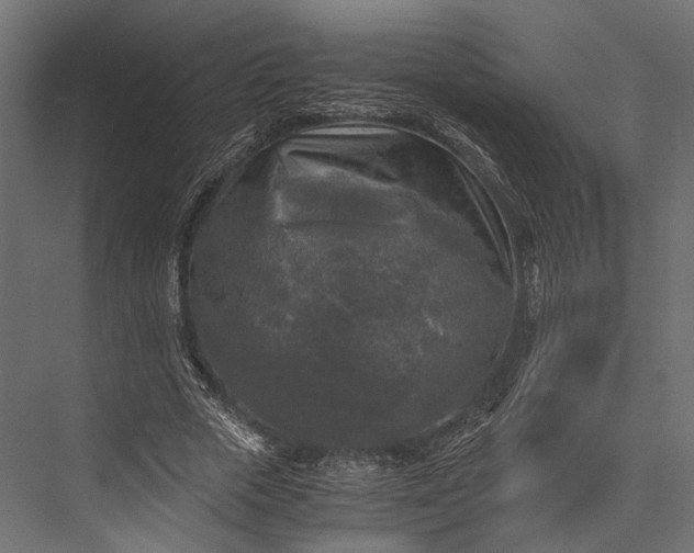 X0000076030729200610061417