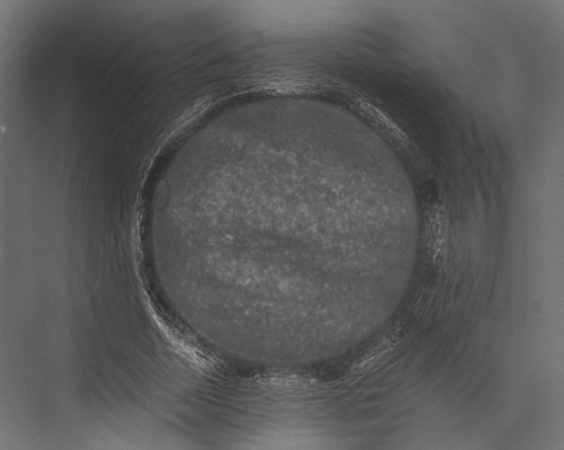 X0000076030730200610061417