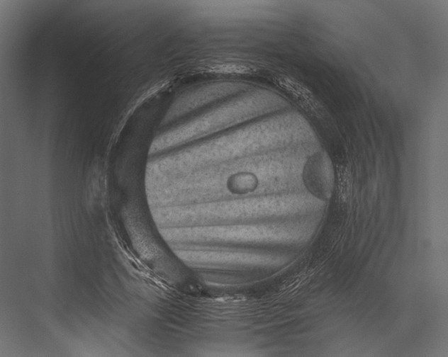 X0000076030731200610061417