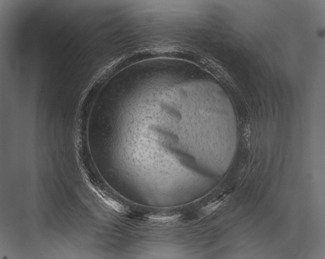 X0000076030732200610061417