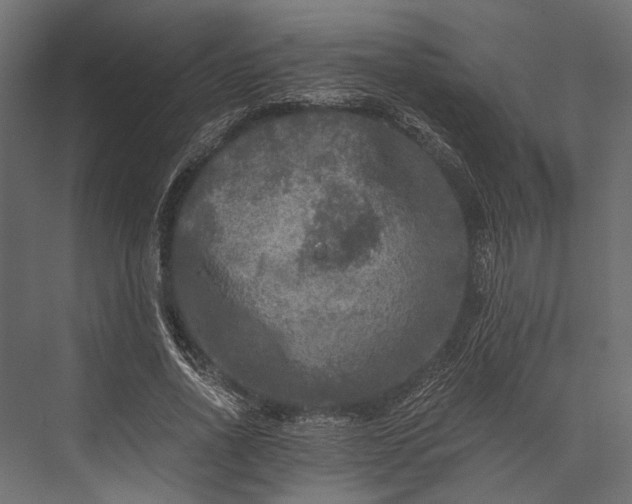 X0000076030734200610061417