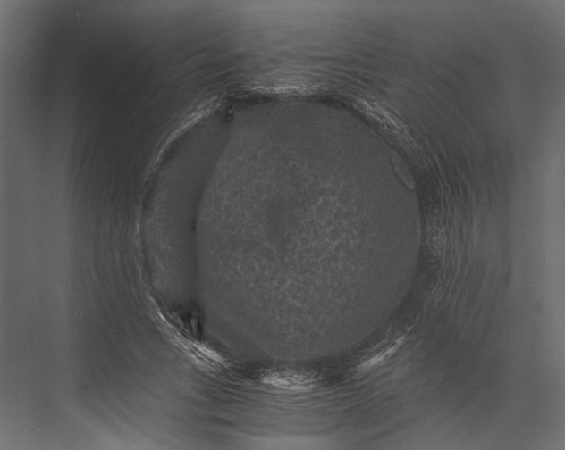 X0000076030735200610061417