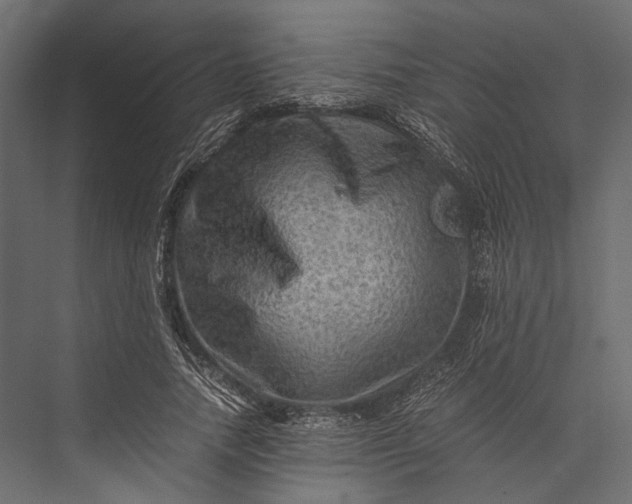 X0000076030738200610061417