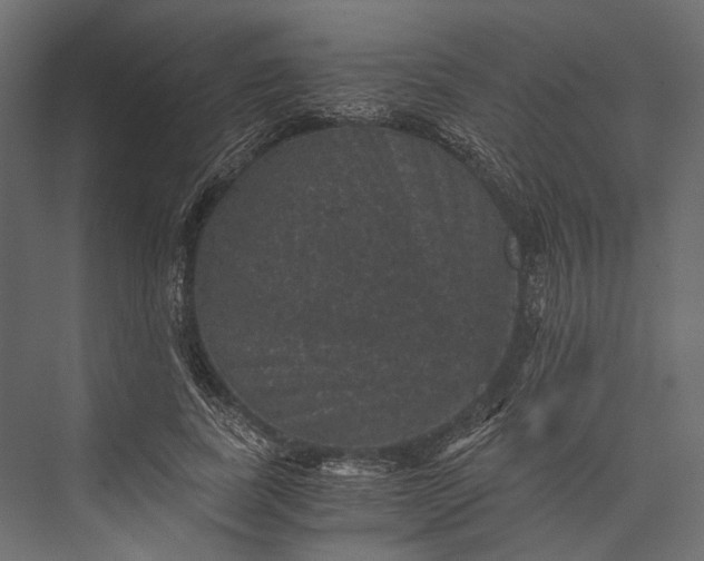 X0000076030739200610061417